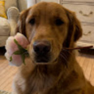 Meet your Posher, Annie